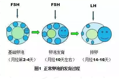 重慶送子鳥醫院