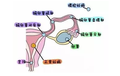 重慶送子鳥醫院