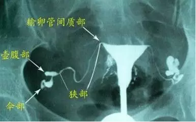 重慶送子鳥(niǎo)醫(yī)院
