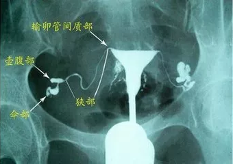 重慶送子鳥醫(yī)院