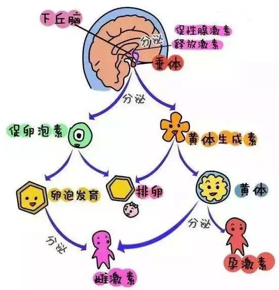 重慶送子鳥醫院