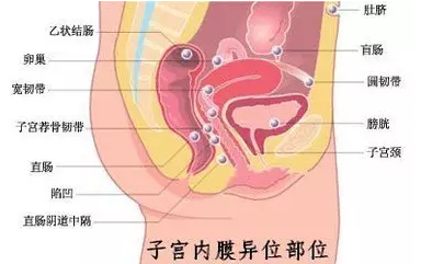 重慶送子鳥醫院