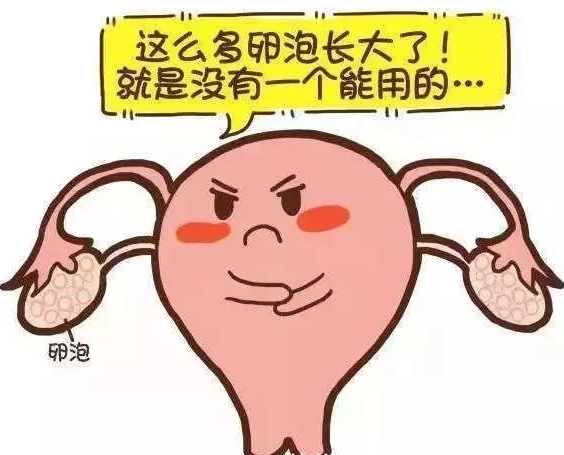 重慶送子鳥醫(yī)院