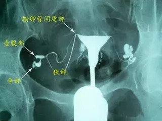重慶送子鳥醫院